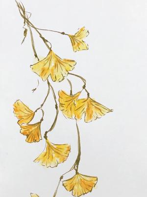 Autumn Gingko (private collection)