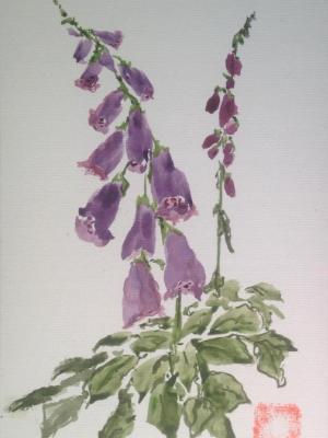 16x12" Fox Glove (private collection)