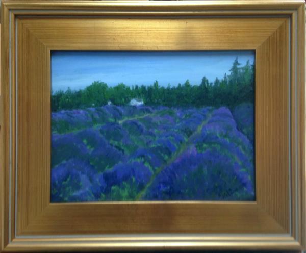 *Lavender Field: Sequim, Olympia Peninsula, WA. ((private collection)