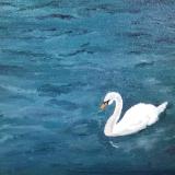 *Singular Beauty, Swan ,Lake Lucerne (private collection)