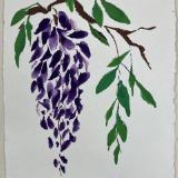 Wisteria and leaves on Nujabi paper