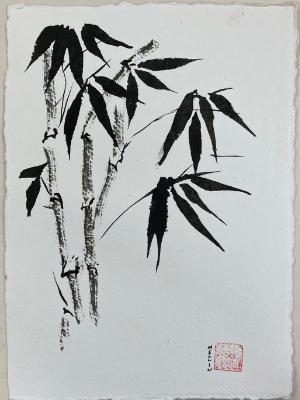Bamboo 2025