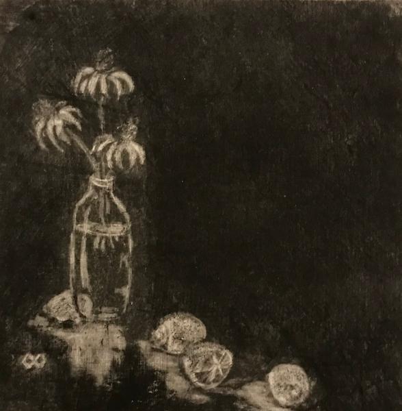 Cone flowers and Lemons (M1)
