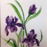 16x12" Spring Dance (Irises) 