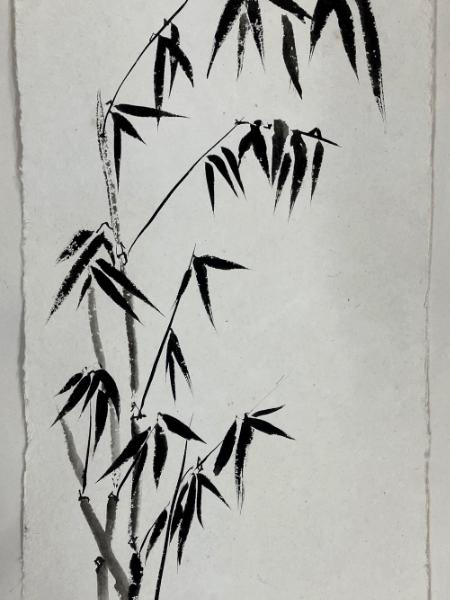 Bamboo cluster  sumi ink on Nujabi paper