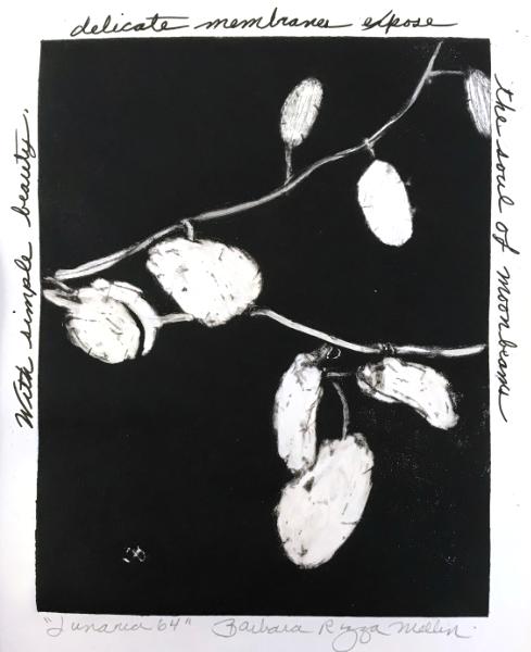 Lunaria 64: Touchable Moonbeams