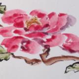 14'x48'Peony ARTPOP Award (Billboard), 8x10; 16x20 private collection